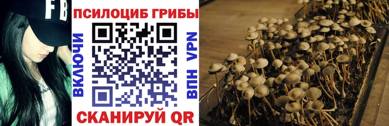 где найти наркотики  Макушино  Псилоцибиновые грибы MAGIC MUSHROOMS 